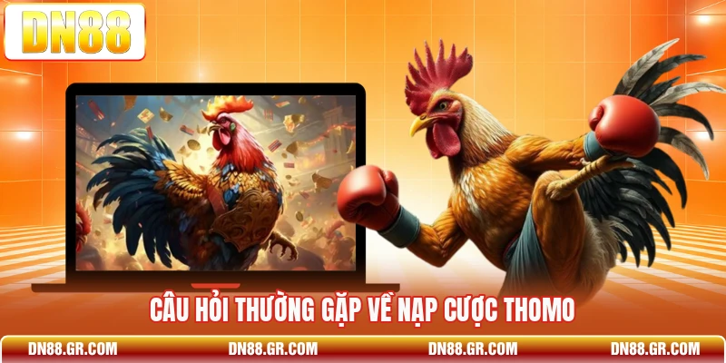 Câu hỏi thường gặp về nạp cược Thomo