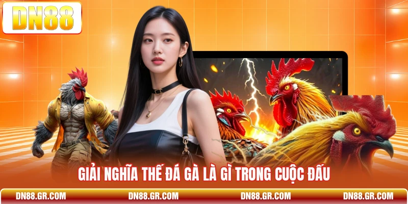 Giải nghĩa thế đá gà là gì trong cuộc đấu